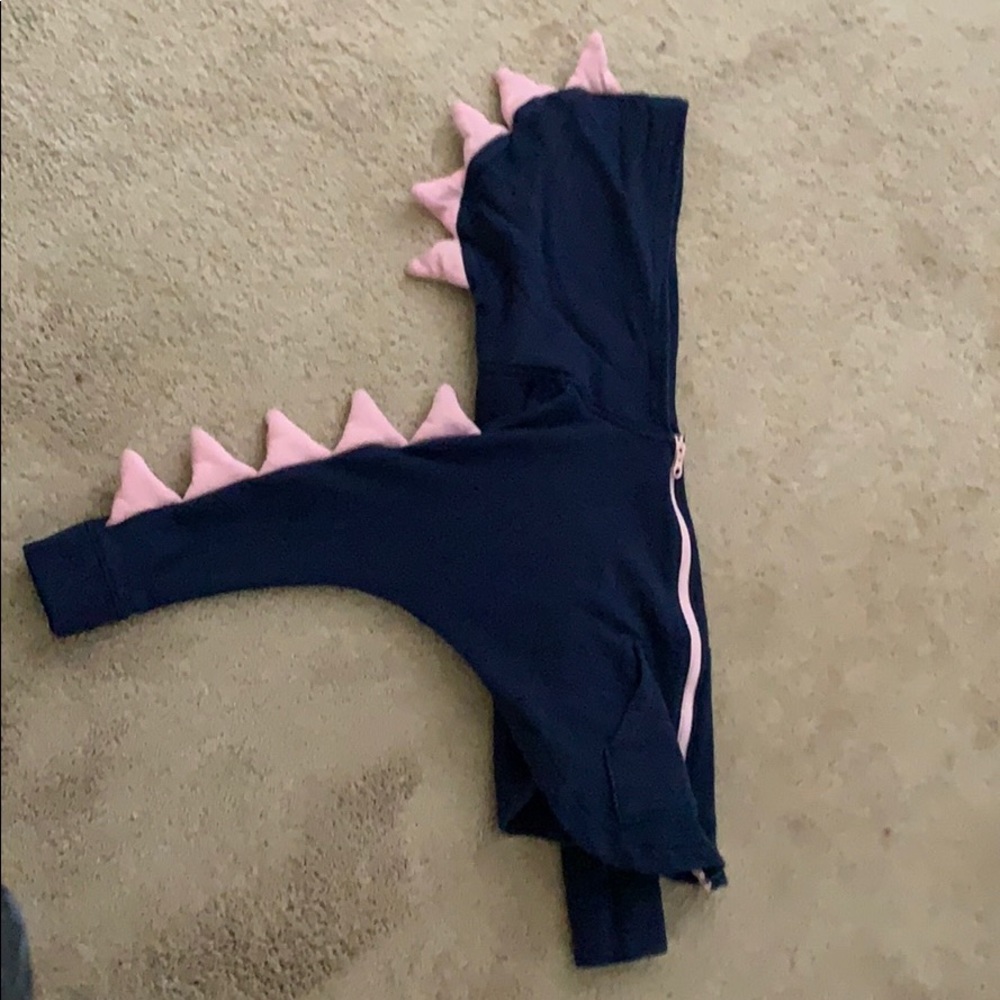 Dinosaur hoodie